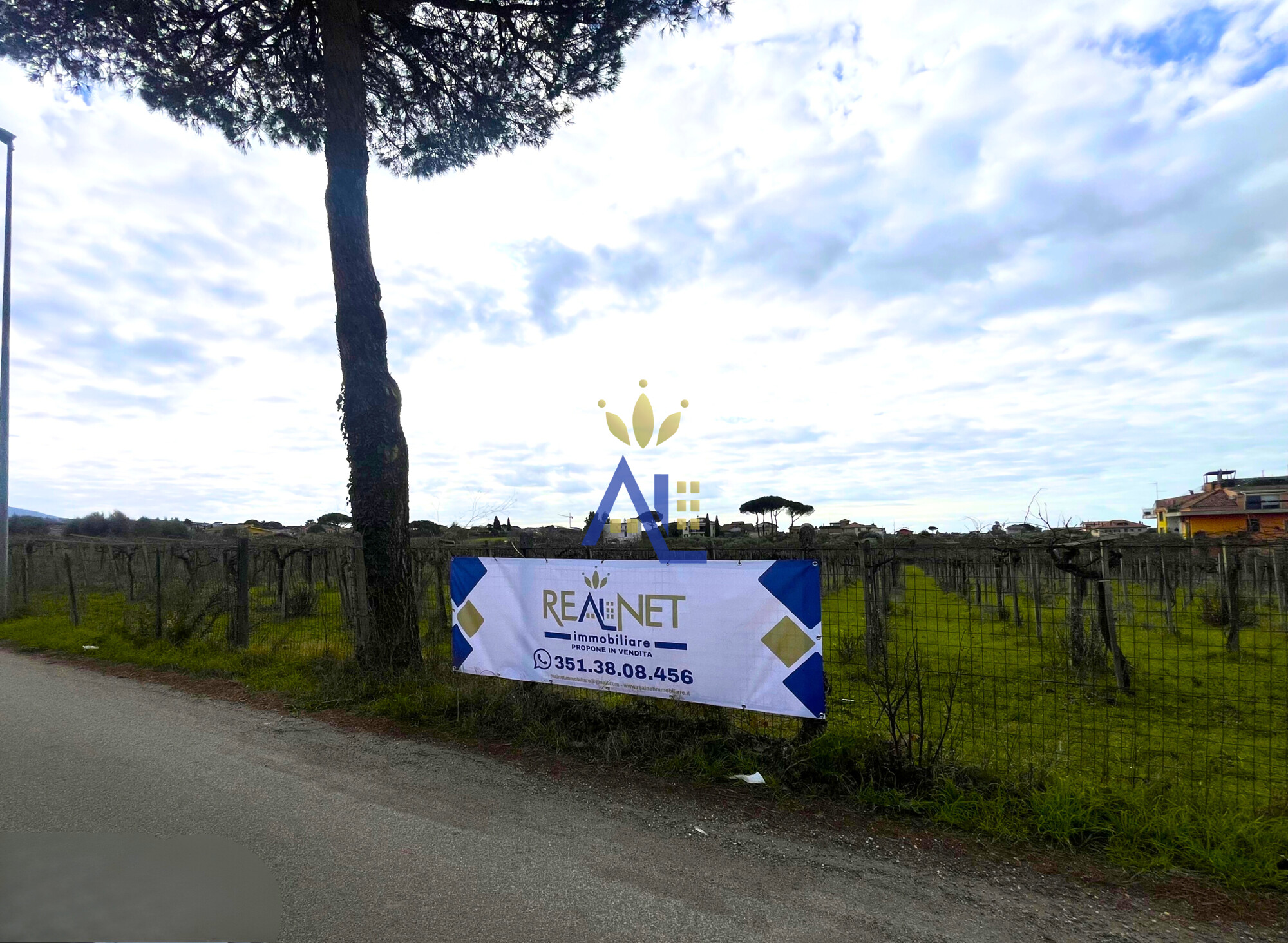 ROMA – VIA DI VERMICINO | TERRENO AGRICOLO CON VIGNETO DOC